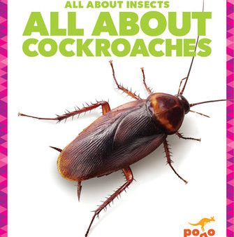 All about Cockroaches For Sale